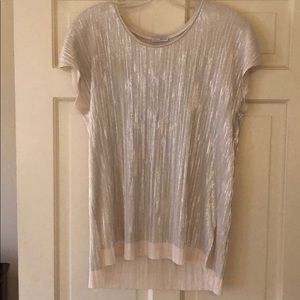 Sparkly Zara Shirt